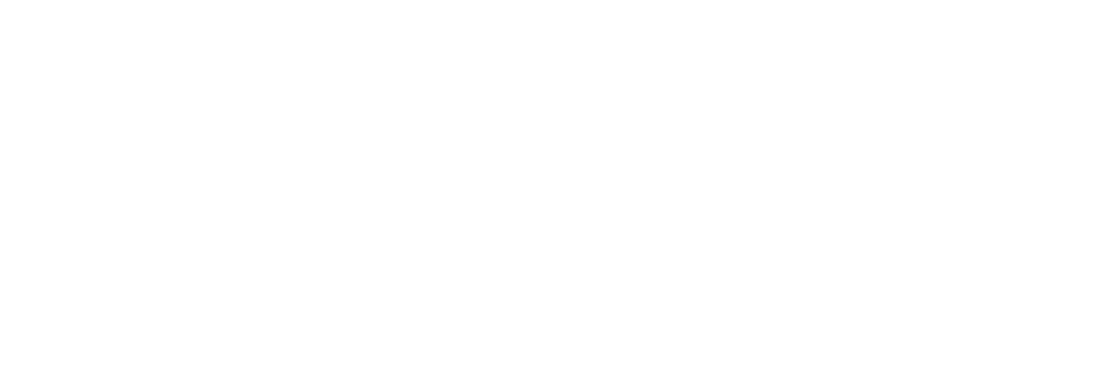 Logo StayOver Branco