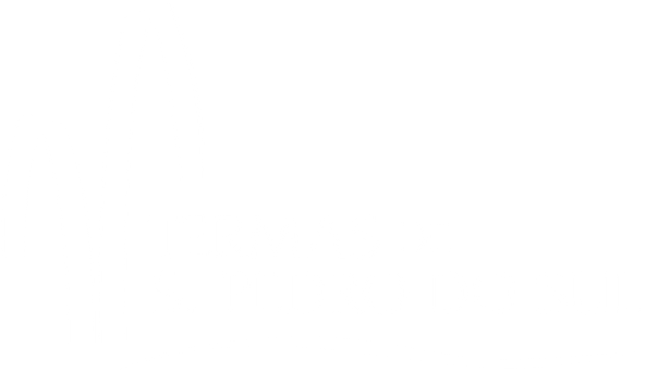 Logo Termas Sao Pedro do Sul Branco
