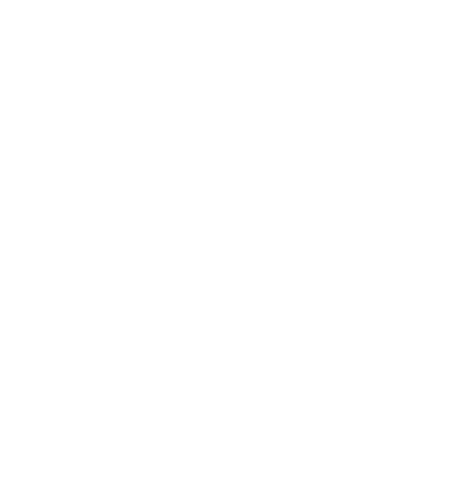Logo Municipio Guarda Branco